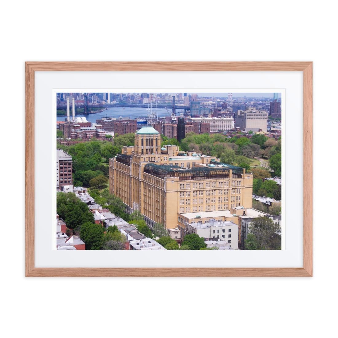 The Iconic Brooklyn Tech Photo: Claiming Our Image