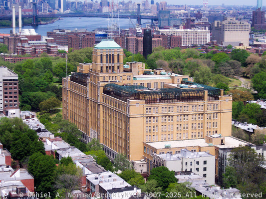 Brooklyn Tech Highschool Photo (Digital License)