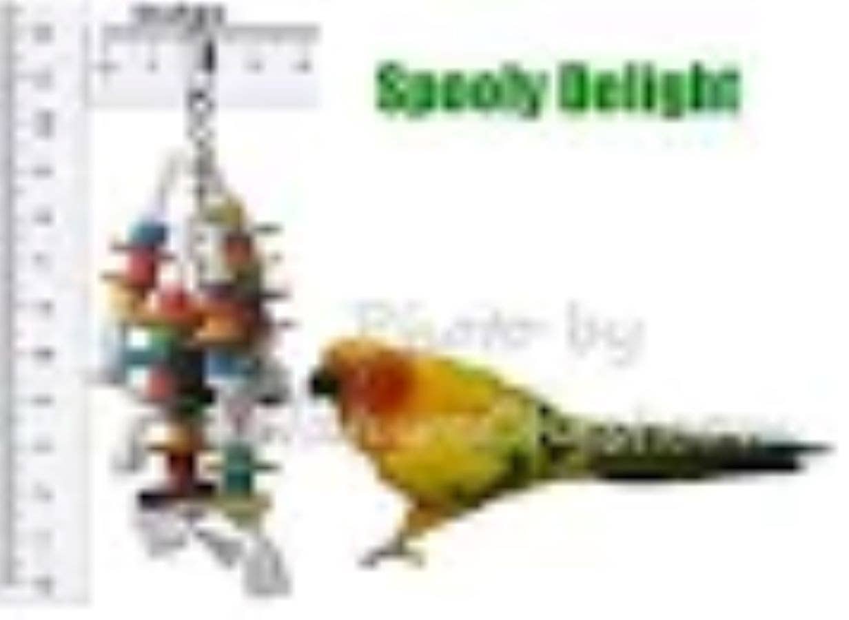 Small Hanging Thimbles Up Bird Toy – Featherland
